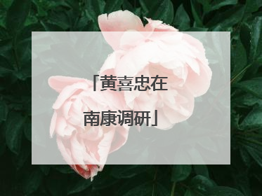 黄喜忠在南康调研