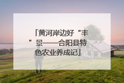 黄河岸边好“丰”景——合阳县特色农业养成记