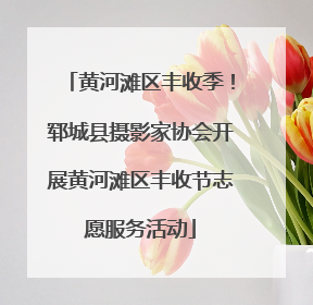 黄河滩区丰收季！郓城县摄影家协会开展黄河滩区丰收节志愿服务活动
