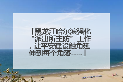 黑龙江哈尔滨强化“派出所主防”工作，让平安建设触角延伸到每个角落……
