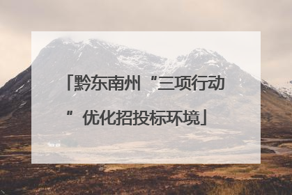 黔东南州“三项行动”优化招投标环境