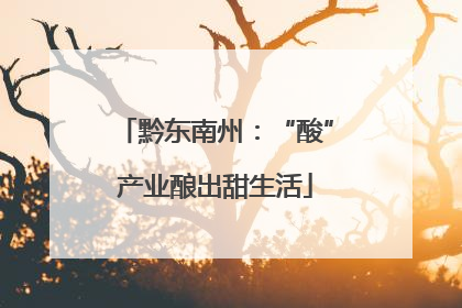 黔东南州：“酸”产业酿出甜生活