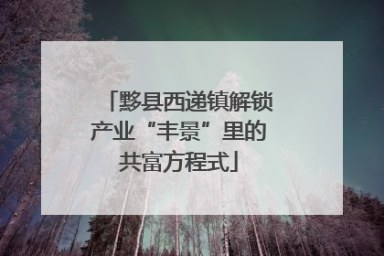黟县西递镇解锁产业“丰景”里的共富方程式