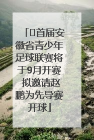 ﻿首届安徽省青少年足球联赛将于9月开赛 拟邀请赵鹏为先导赛开球