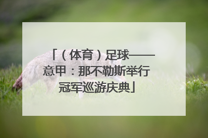 （体育）足球——意甲：那不勒斯举行冠军巡游庆典