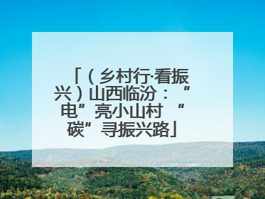 （乡村行·看振兴）山西临汾：“电”亮小山村 “碳”寻振兴路