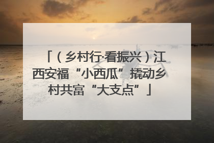 （乡村行·看振兴）江西安福“小西瓜”撬动乡村共富“大支点”