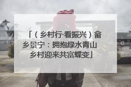 （乡村行·看振兴）畲乡景宁：拥抱绿水青山 乡村迎来共富蝶变