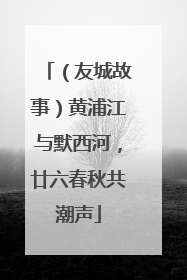 （友城故事）黄浦江与默西河，廿六春秋共潮声