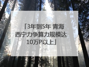 3年到5年 青海西宁力争算力规模达10万P以上