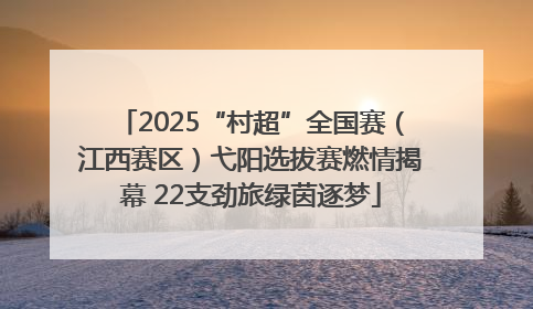 2025“村超”全国赛（江西赛区）弋阳选拔赛燃情揭幕 22支劲旅绿茵逐梦