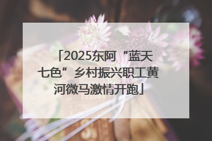 2025东阿“蓝天七色”乡村振兴职工黄河微马激情开跑