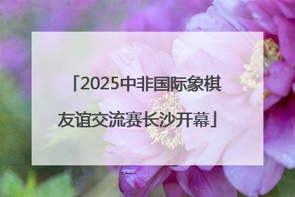 2025中非国际象棋友谊交流赛长沙开幕