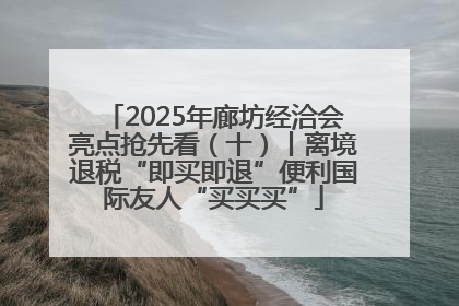 2025年廊坊经洽会亮点抢先看（十）丨离境退税“即买即退”便利国际友人“买买买”