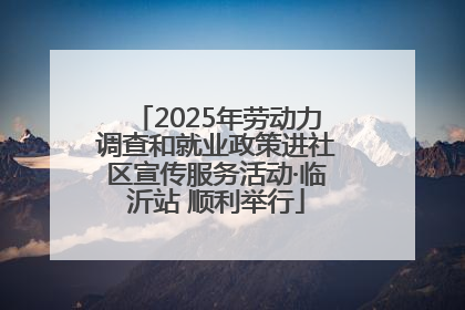 2025年劳动力调查和就业政策进社区宣传服务活动·临沂站 顺利举行