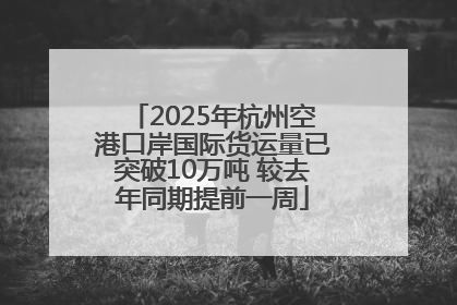 2025年杭州空港口岸国际货运量已突破10万吨 较去年同期提前一周