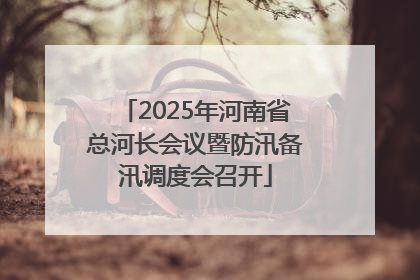 2025年河南省总河长会议暨防汛备汛调度会召开
