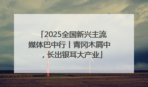 2025全国新兴主流媒体巴中行丨青冈木屑中，长出银耳大产业
