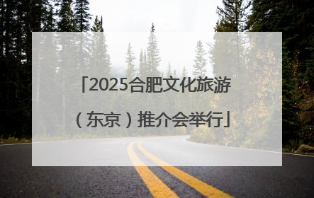 2025合肥文化旅游（东京）推介会举行