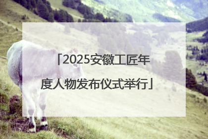 2025安徽工匠年度人物发布仪式举行