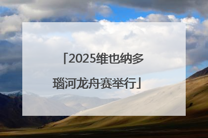 2025维也纳多瑙河龙舟赛举行