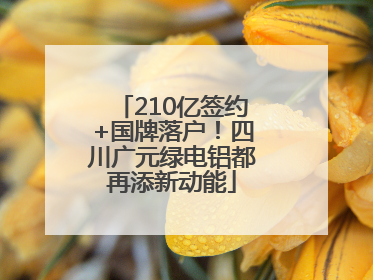 210亿签约+国牌落户！四川广元绿电铝都再添新动能