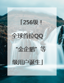256级！全球首位QQ“金企鹅”等级用户诞生