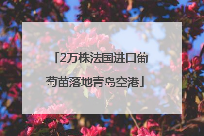 2万株法国进口葡萄苗落地青岛空港