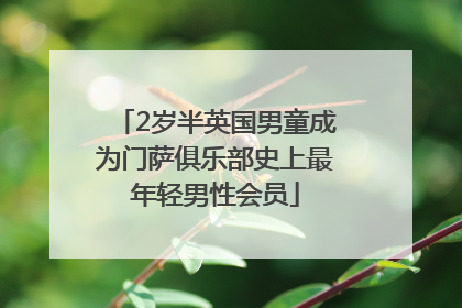 2岁半英国男童成为门萨俱乐部史上最年轻男性会员