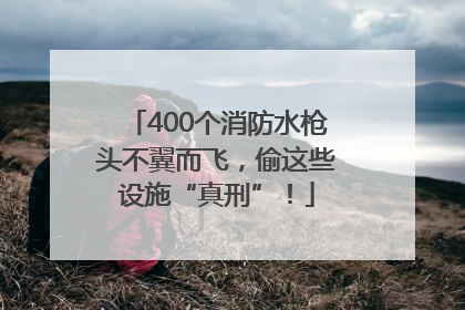 400个消防水枪头不翼而飞，偷这些设施“真刑”！