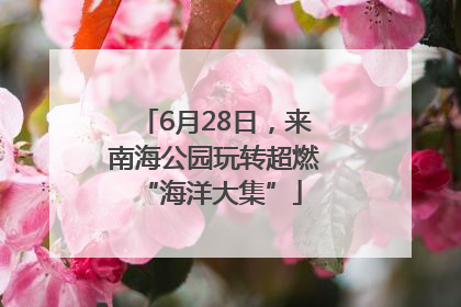 6月28日，来南海公园玩转超燃 “海洋大集”