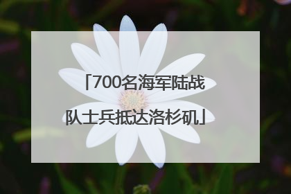 700名海军陆战队士兵抵达洛杉矶