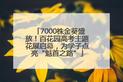 7000株金葵盛放！百花园高考主题花展启幕，为学子点亮“魁首之路”