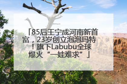 85后王宁成河南新首富，23岁创立泡泡玛特！旗下Labubu全球爆火“一娃难求”