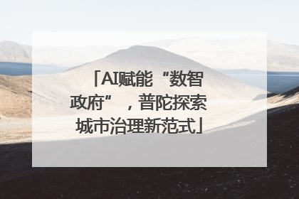 AI赋能“数智政府”，普陀探索城市治理新范式