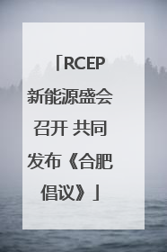 RCEP新能源盛会召开 共同发布《合肥倡议》